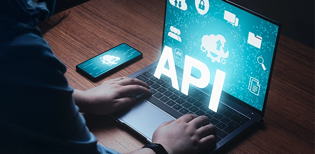 custom api development