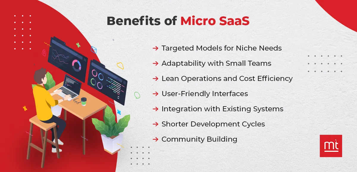 Benefits of Micro SaaS